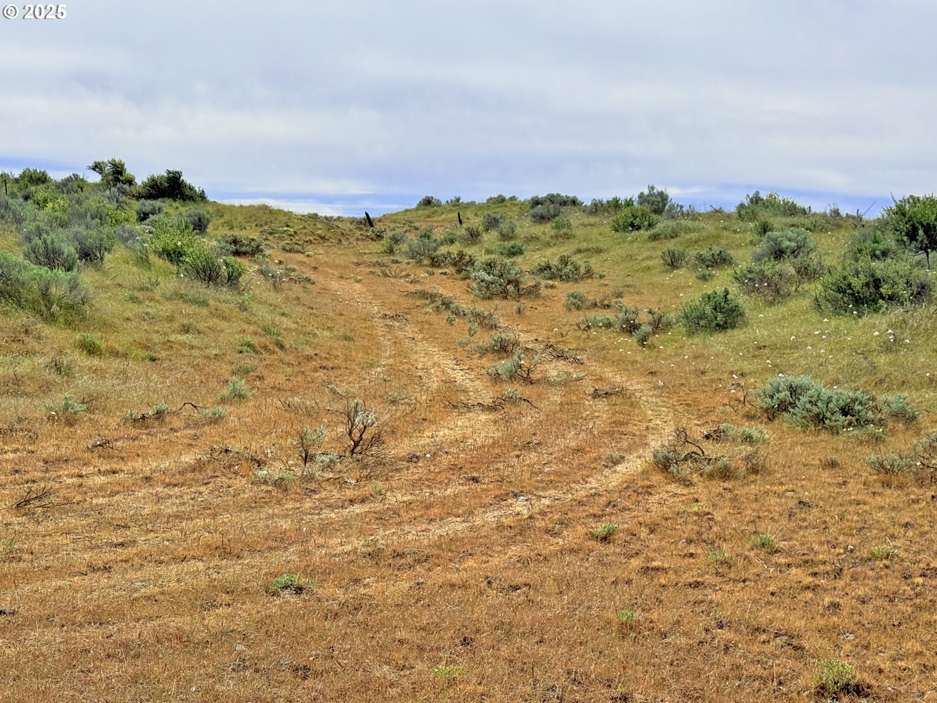 Off Gnarly Oaks Goldendale, WA 98620 - Photo 12 of 43 a view of lake and mountain