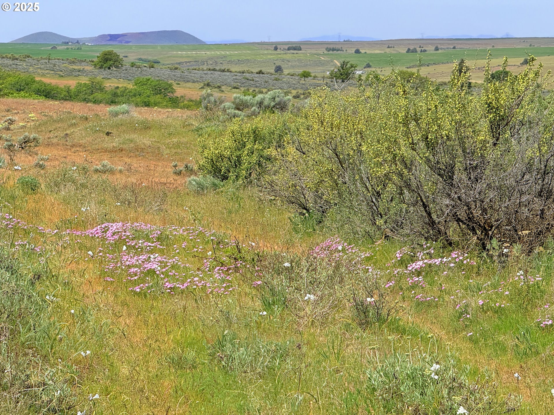 Off Gnarly Oaks Goldendale, WA 98620 - Photo 13 of 43 a view of lake view and mountain