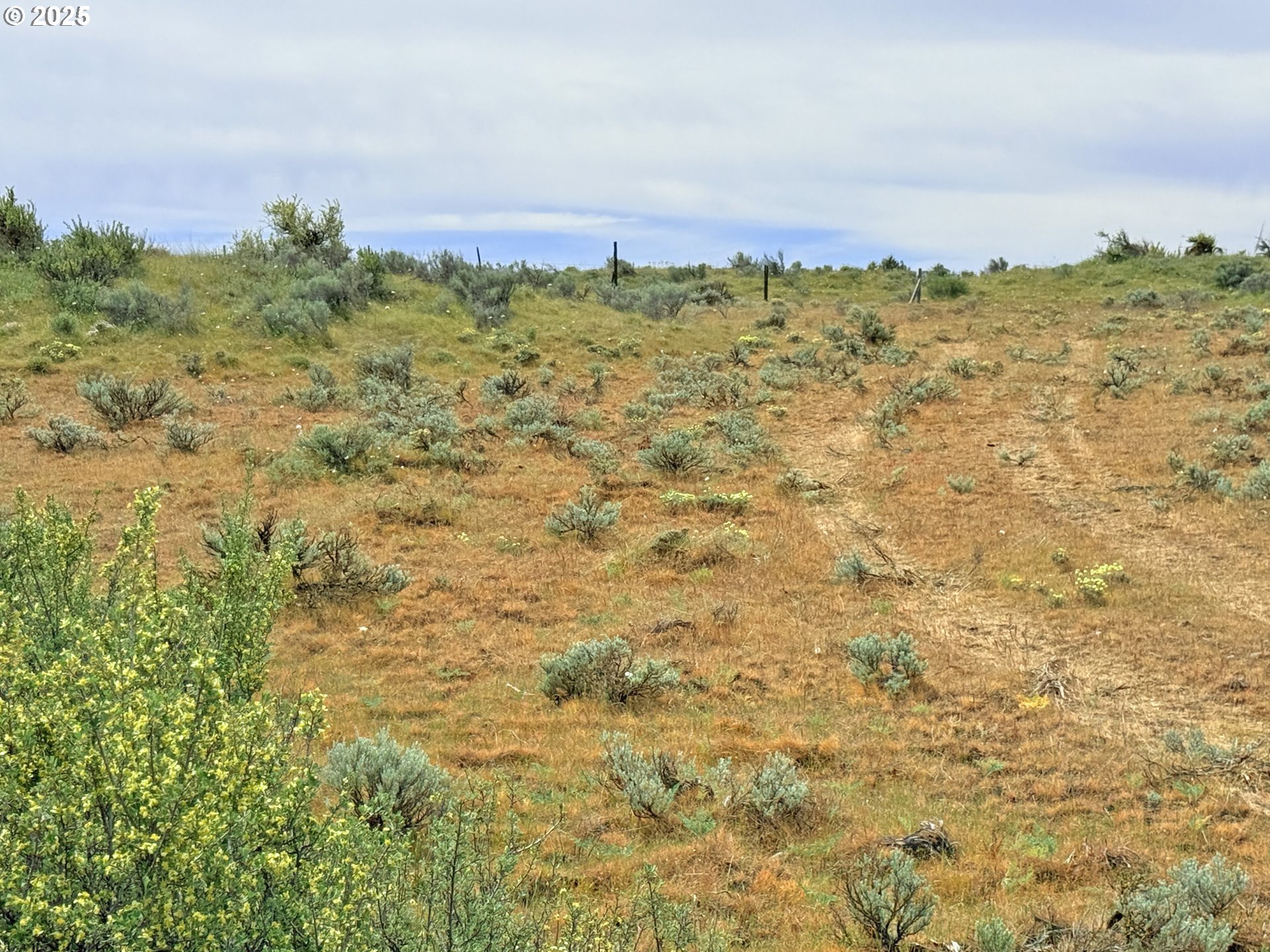 Off Gnarly Oaks Goldendale, WA 98620 - Photo 15 of 43 a view of a bunch of trees and houses