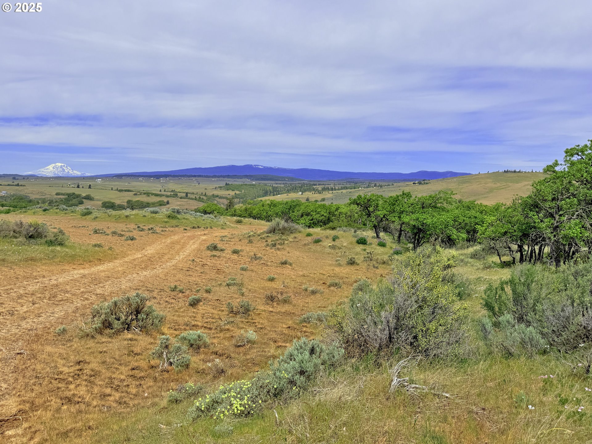 Off Gnarly Oaks Goldendale, WA 98620 - Photo 16 of 43 a view of a field with an ocean