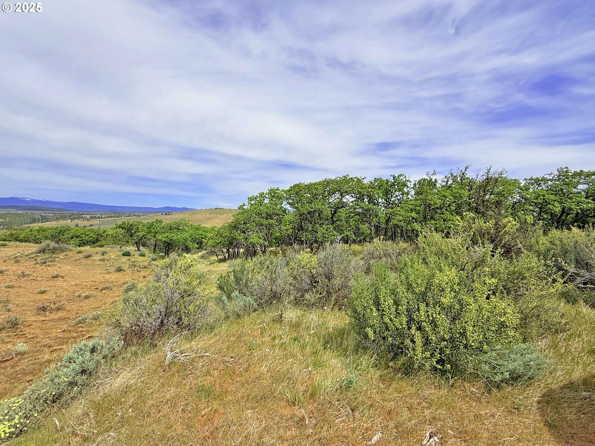 Off Gnarly Oaks Goldendale, WA 98620 - Photo 17 of 43 a view of a bunch of trees and bushes