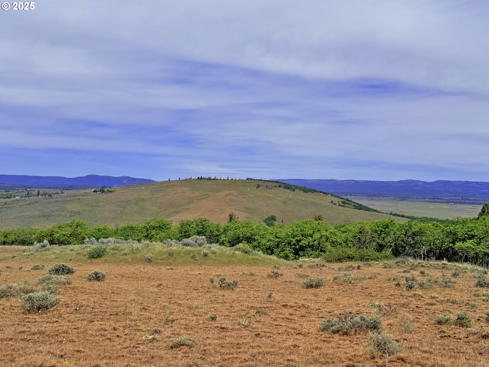 Off Gnarly Oaks Goldendale, WA 98620 - Photo 18 of 43 a view of a lake with mountains in the background