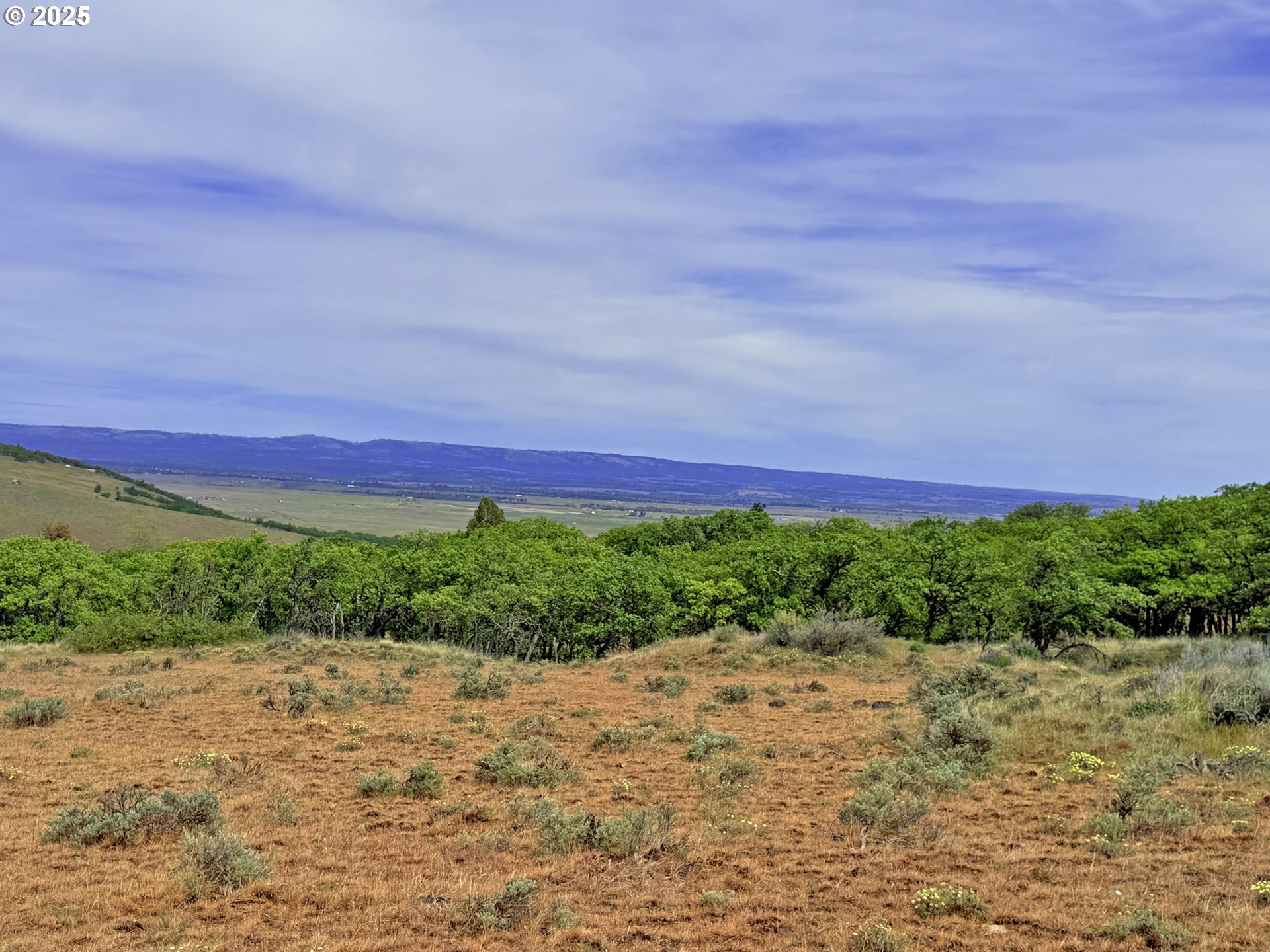 Off Gnarly Oaks Goldendale, WA 98620 - Photo 19 of 43 a view of a field with a building in background
