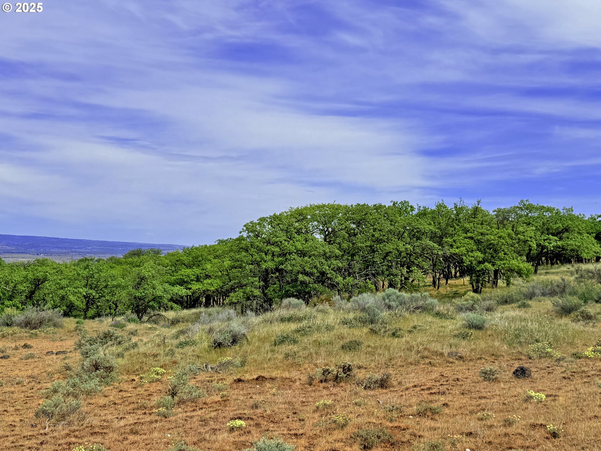 Off Gnarly Oaks Goldendale, WA 98620 - Photo 20 of 43 a view of a yard with plants and a building