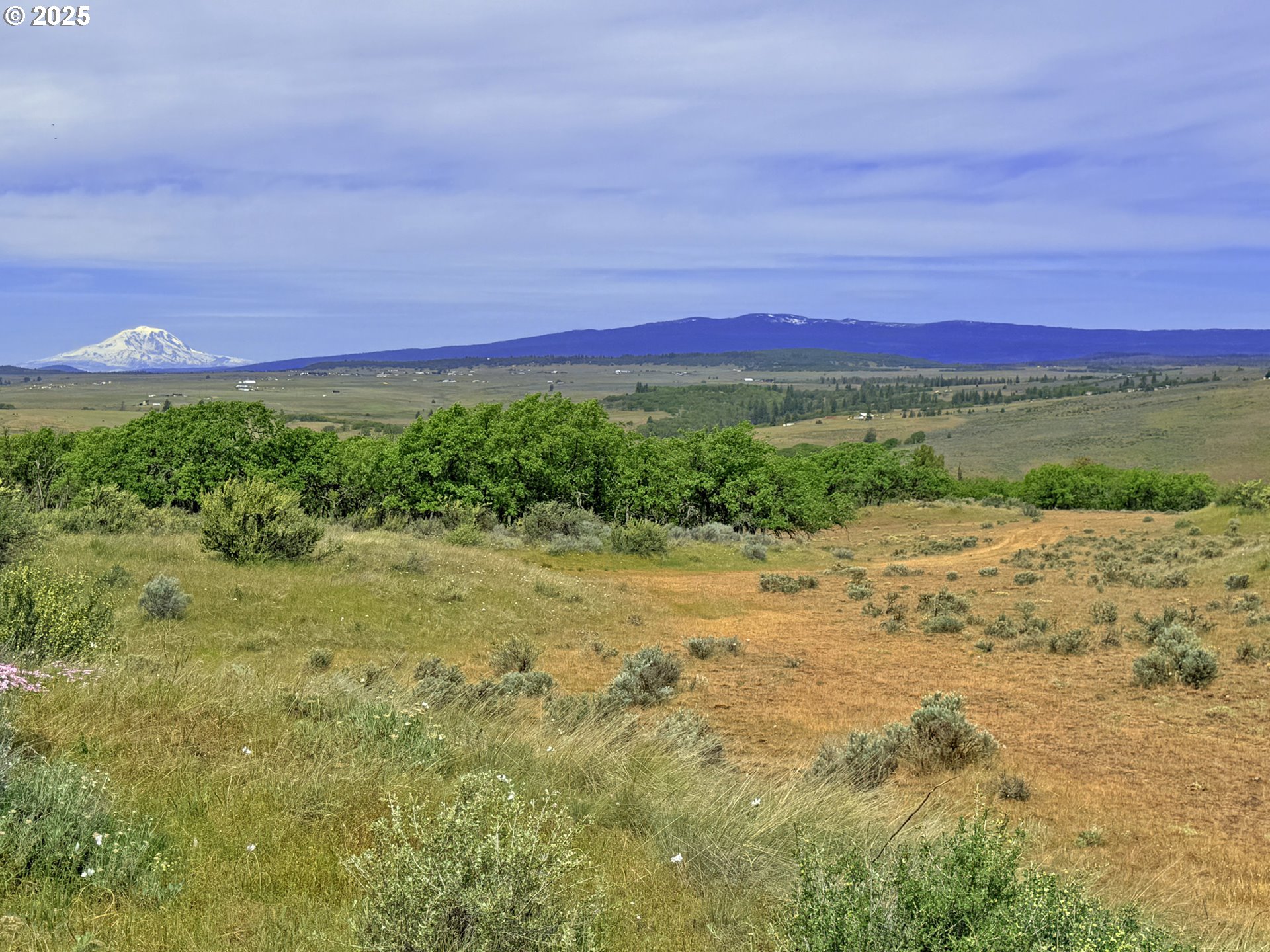 Off Gnarly Oaks Goldendale, WA 98620 - Photo 2 of 43 a view of a yard