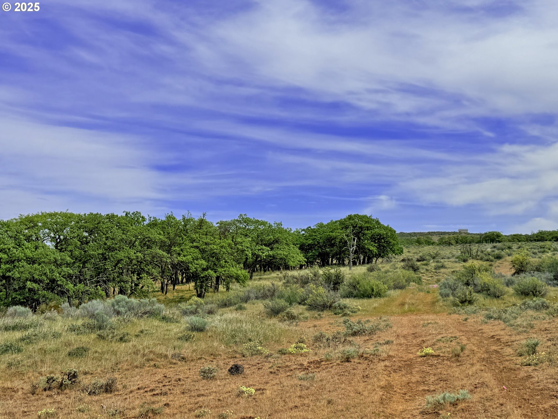Off Gnarly Oaks Goldendale, WA 98620 - Photo 21 of 43 a view of a field