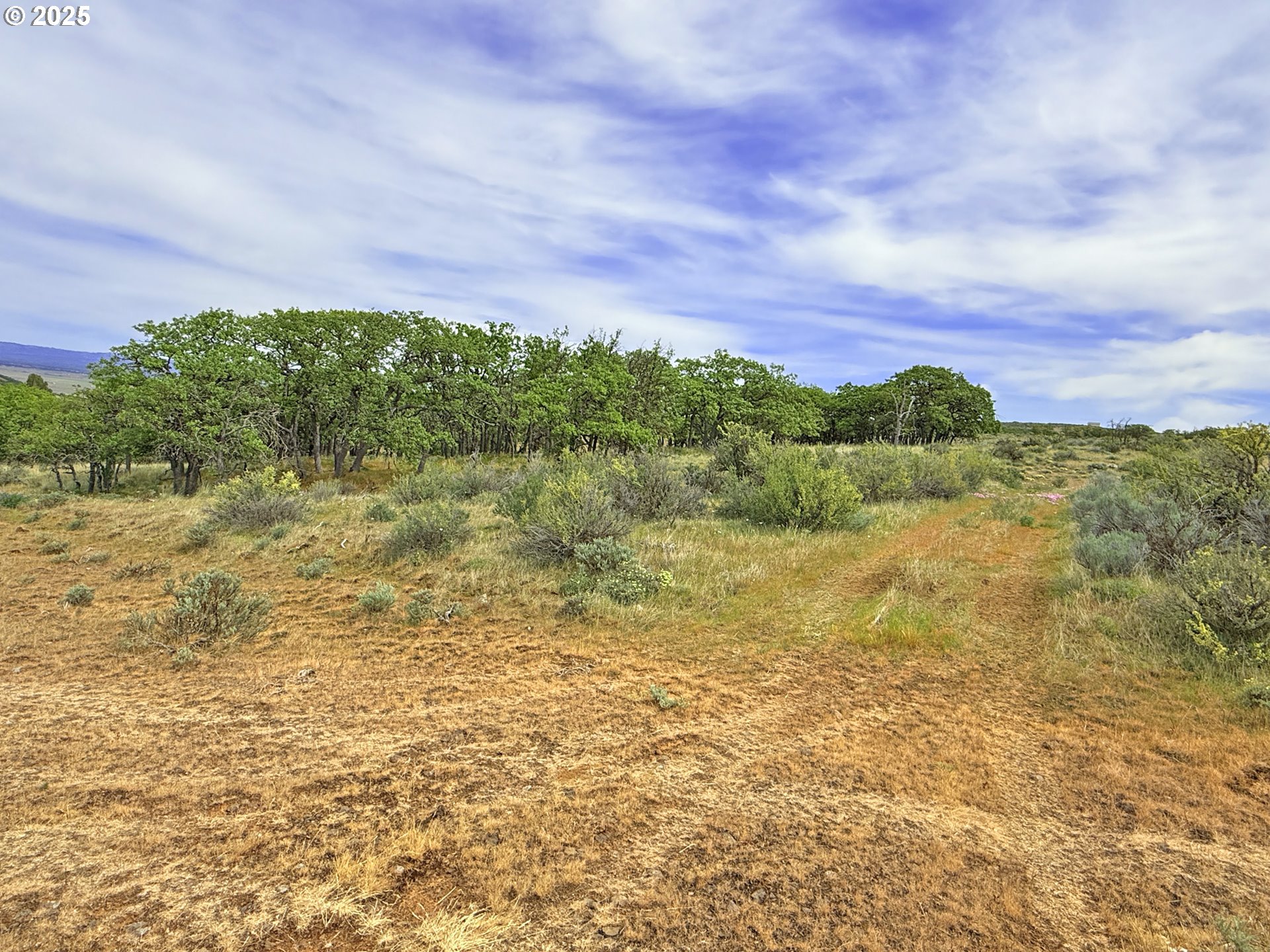 Off Gnarly Oaks Goldendale, WA 98620 - Photo 22 of 43 a view of a field with an ocean