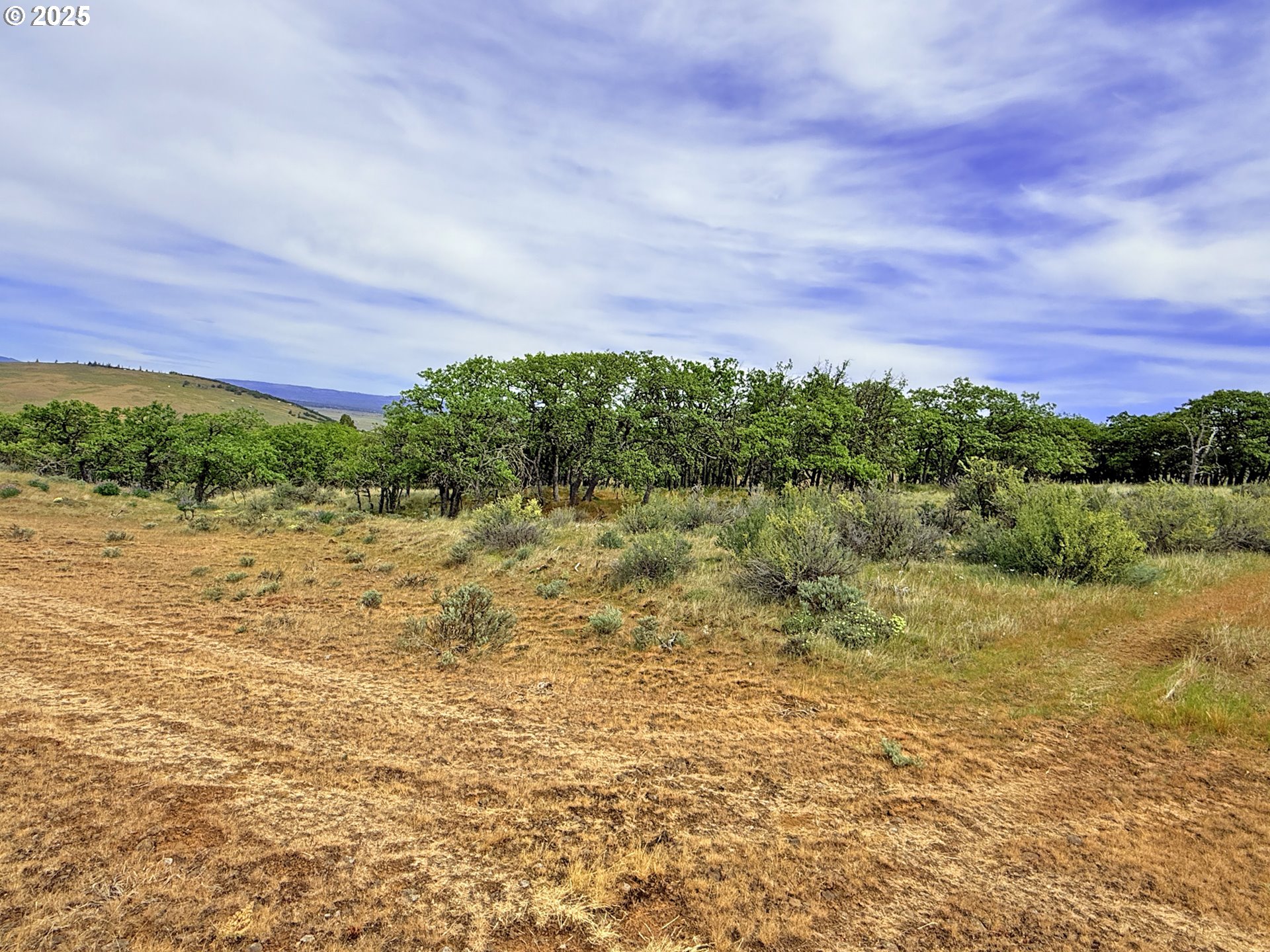 Off Gnarly Oaks Goldendale, WA 98620 - Photo 23 of 43 a view of a lake with a yard