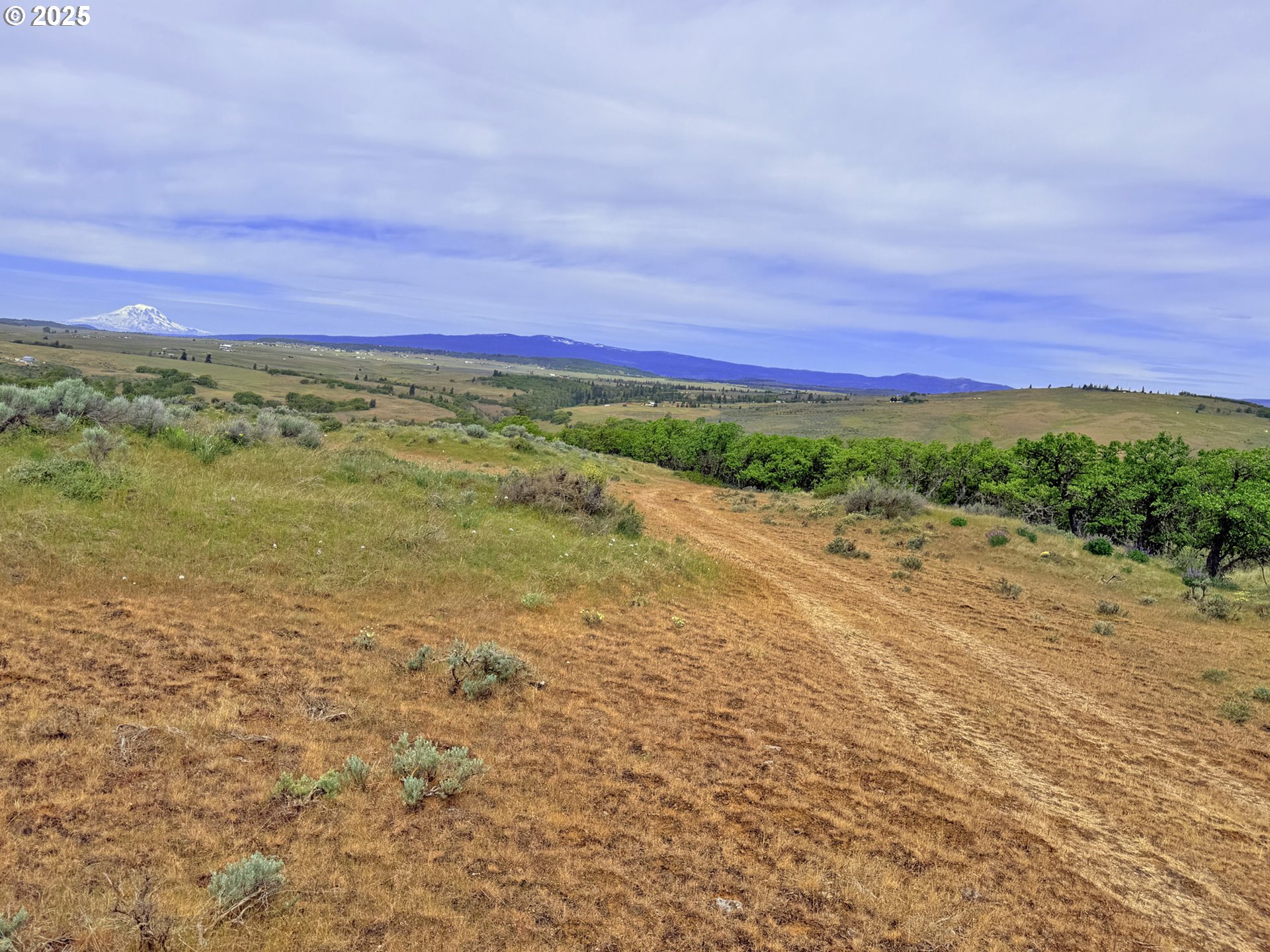 Off Gnarly Oaks Goldendale, WA 98620 - Photo 25 of 43 a view of an outdoor space with mountain view