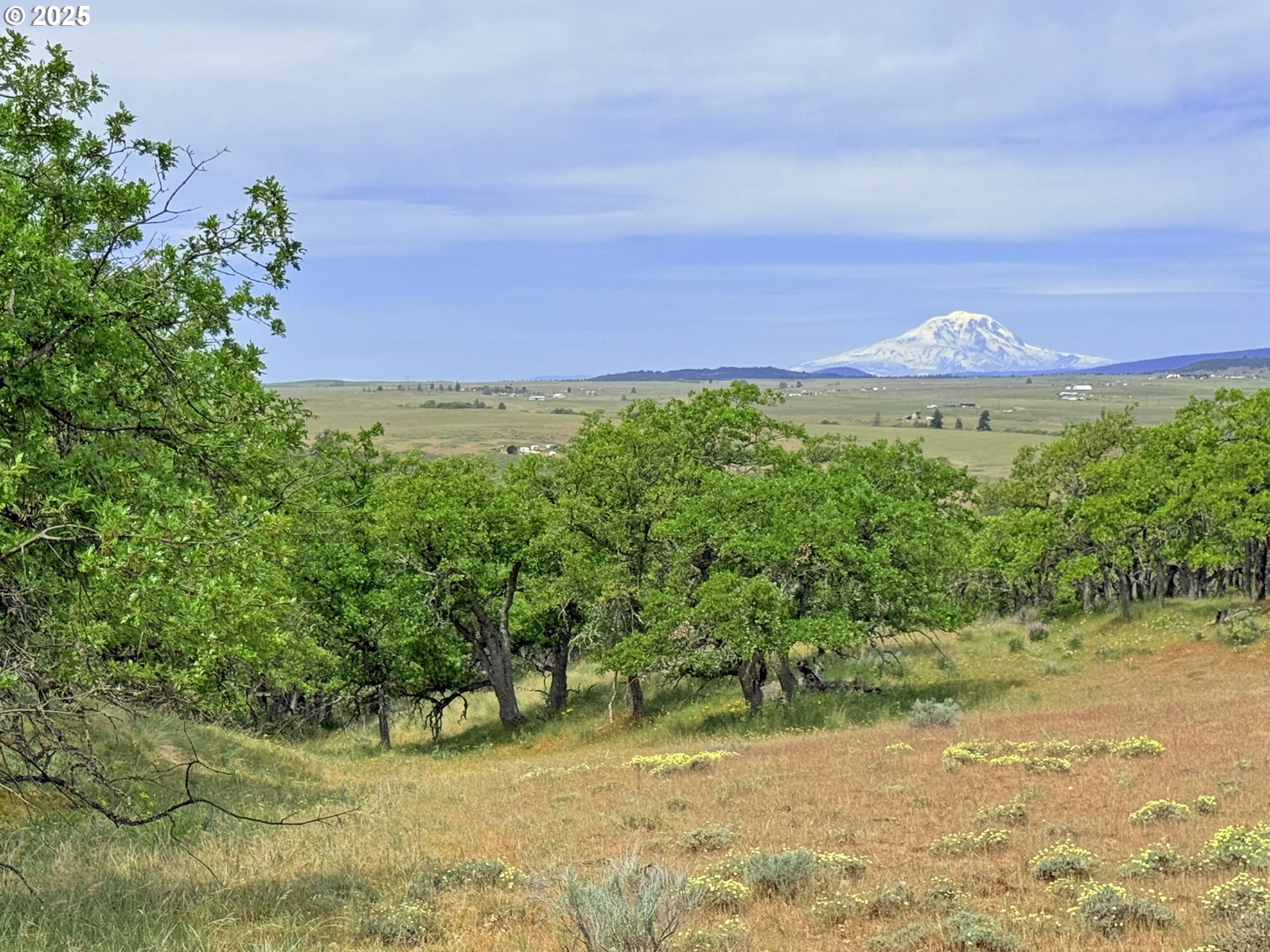 Off Gnarly Oaks Goldendale, WA 98620 - Photo 26 of 43 a view of a large building with a yard and large trees