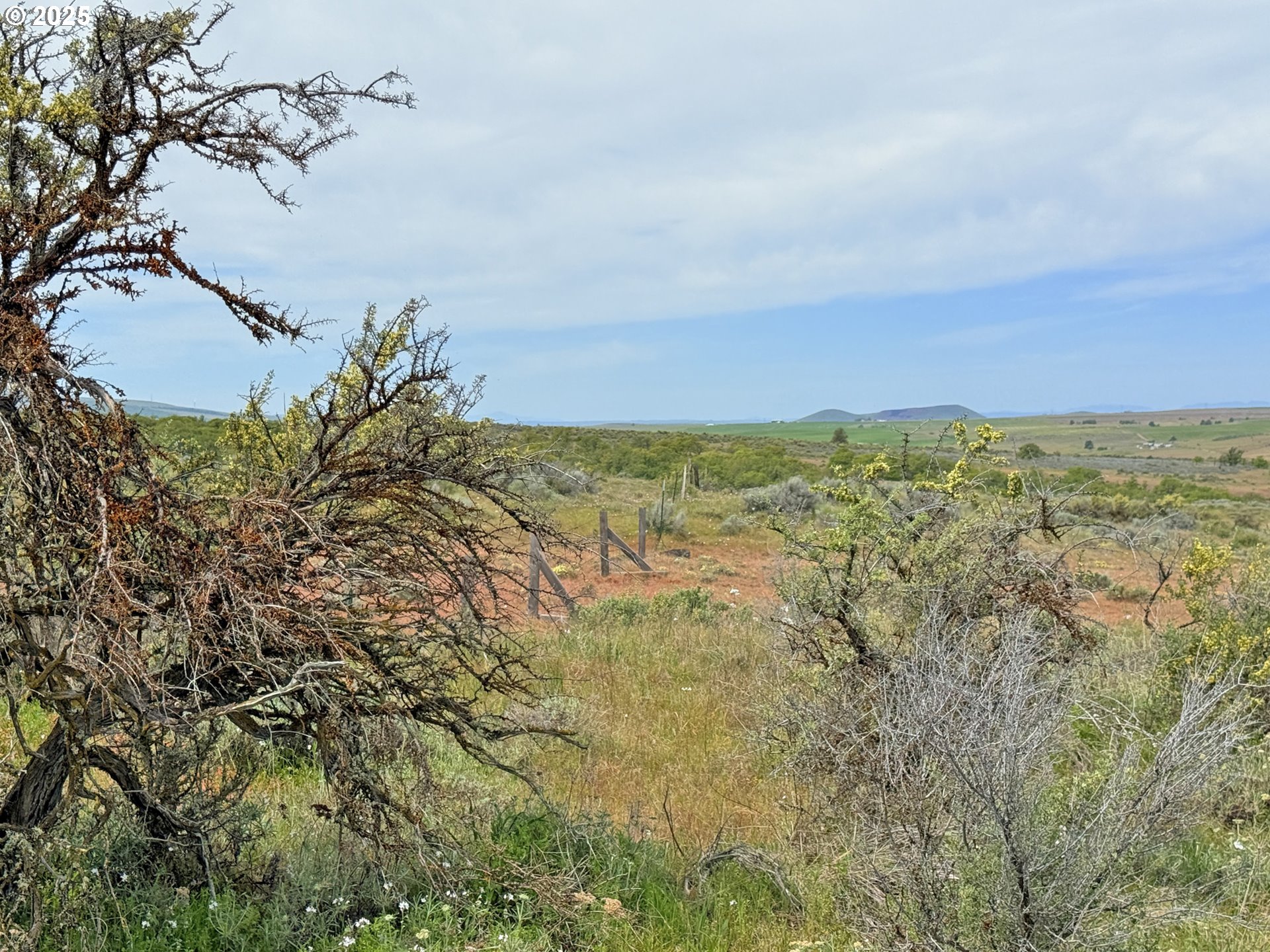 Off Gnarly Oaks Goldendale, WA 98620 - Photo 27 of 43 a view of a field
