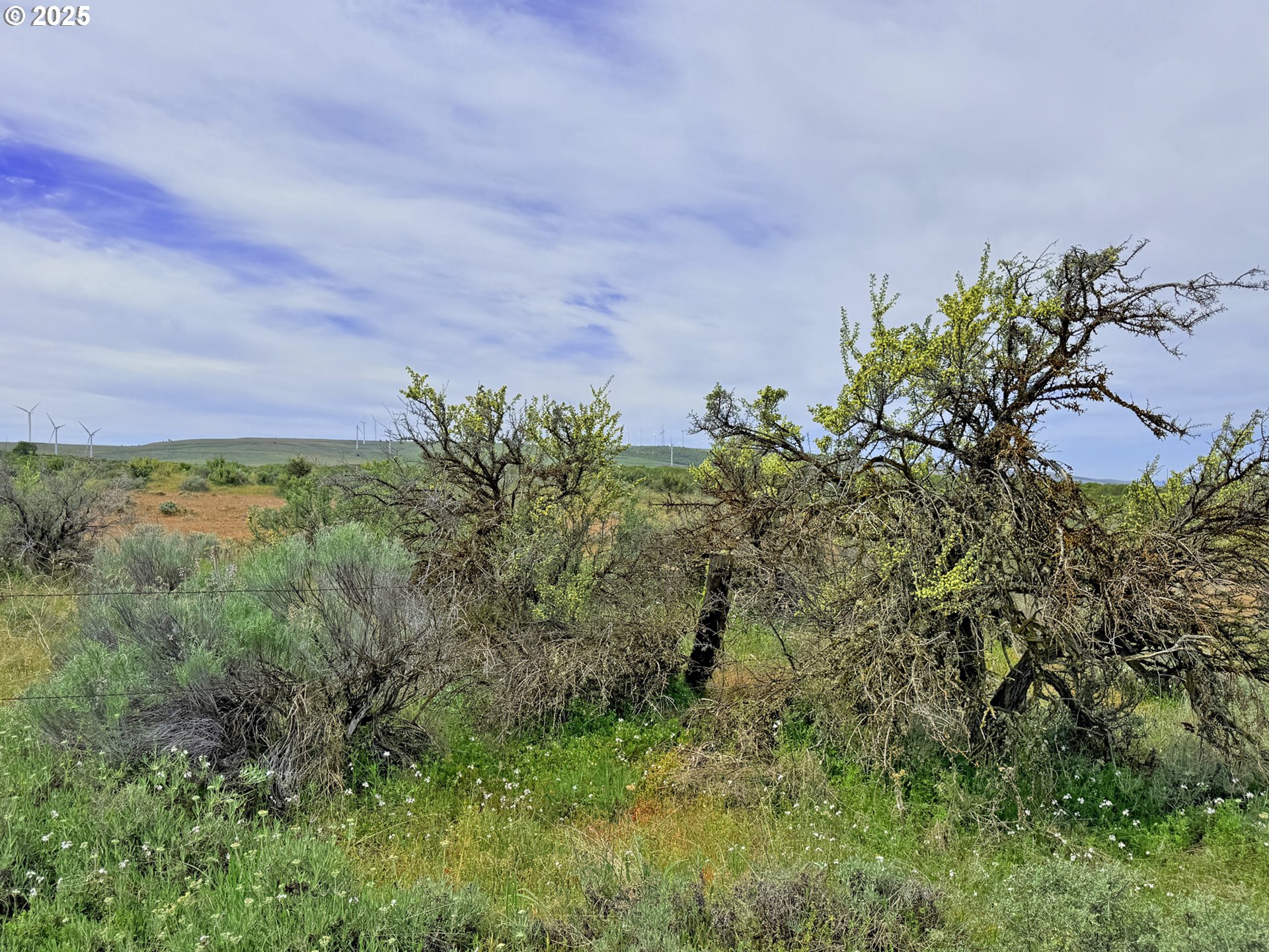 Off Gnarly Oaks Goldendale, WA 98620 - Photo 28 of 43 a view of a garden