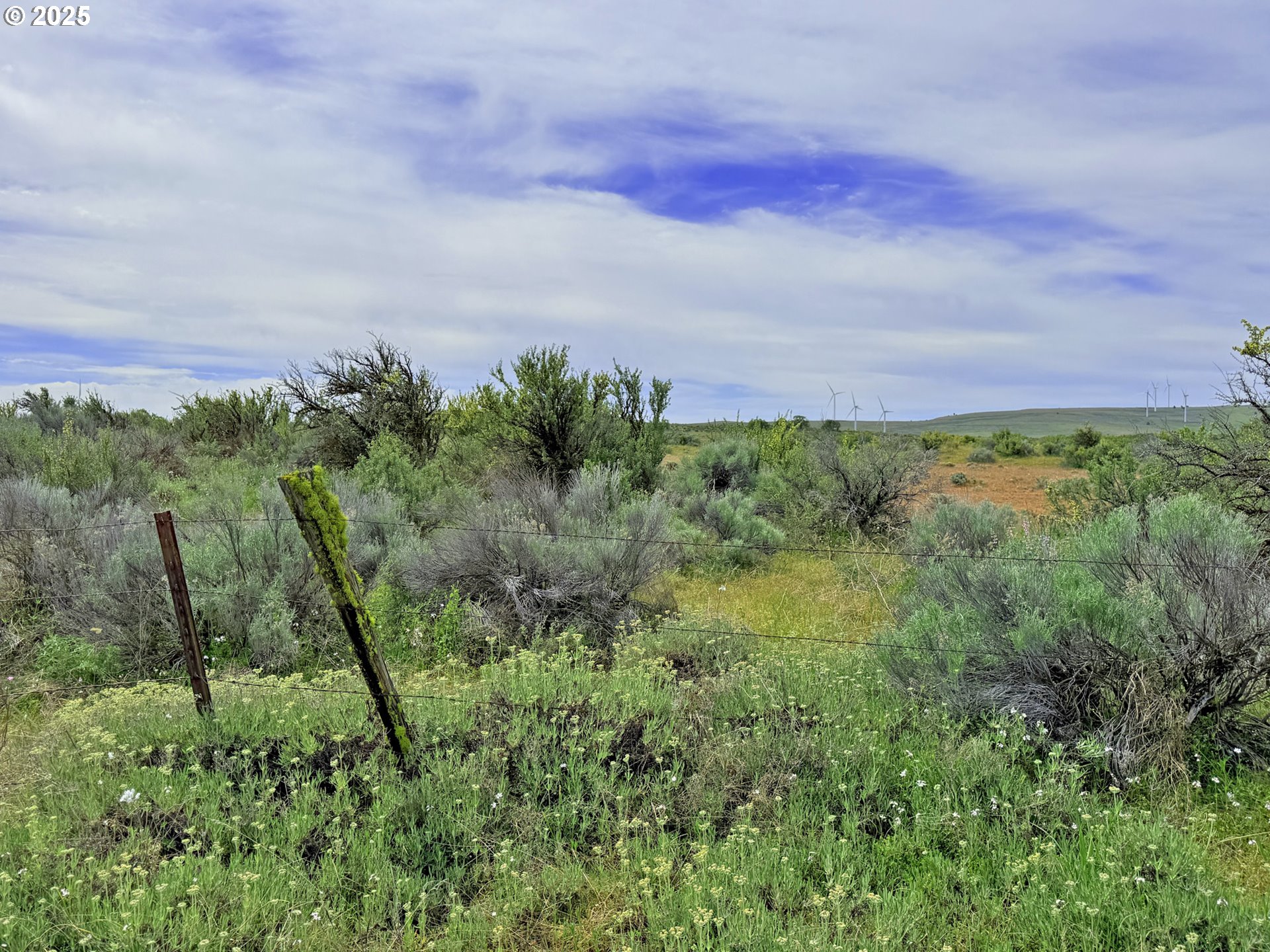 Off Gnarly Oaks Goldendale, WA 98620 - Photo 29 of 43 a view of a yard and an ocean