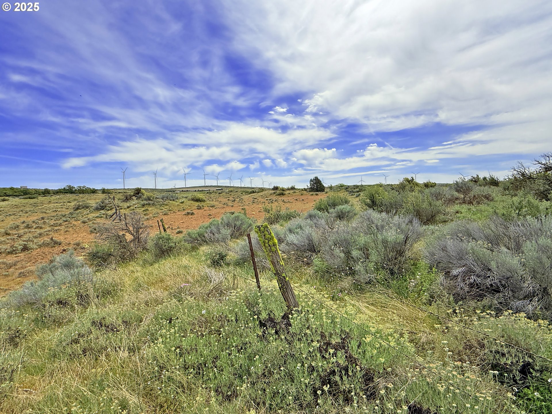 Off Gnarly Oaks Goldendale, WA 98620 - Photo 30 of 43 a view of a yard with an trees