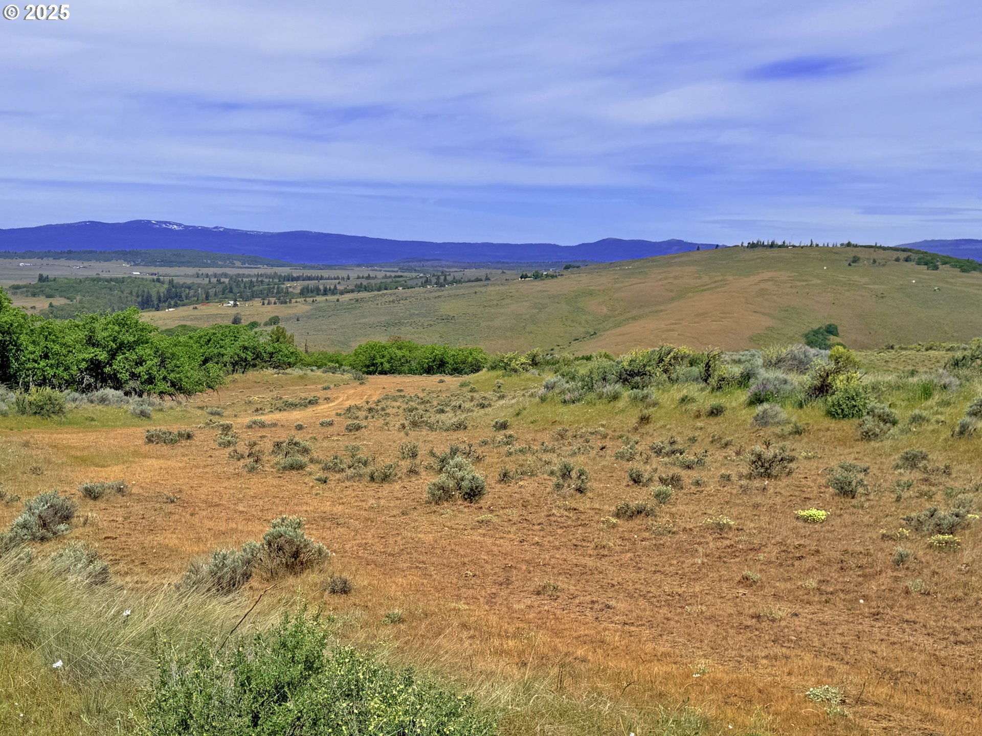 Off Gnarly Oaks Goldendale, WA 98620 - Photo 3 of 43 a view of lake with mountain