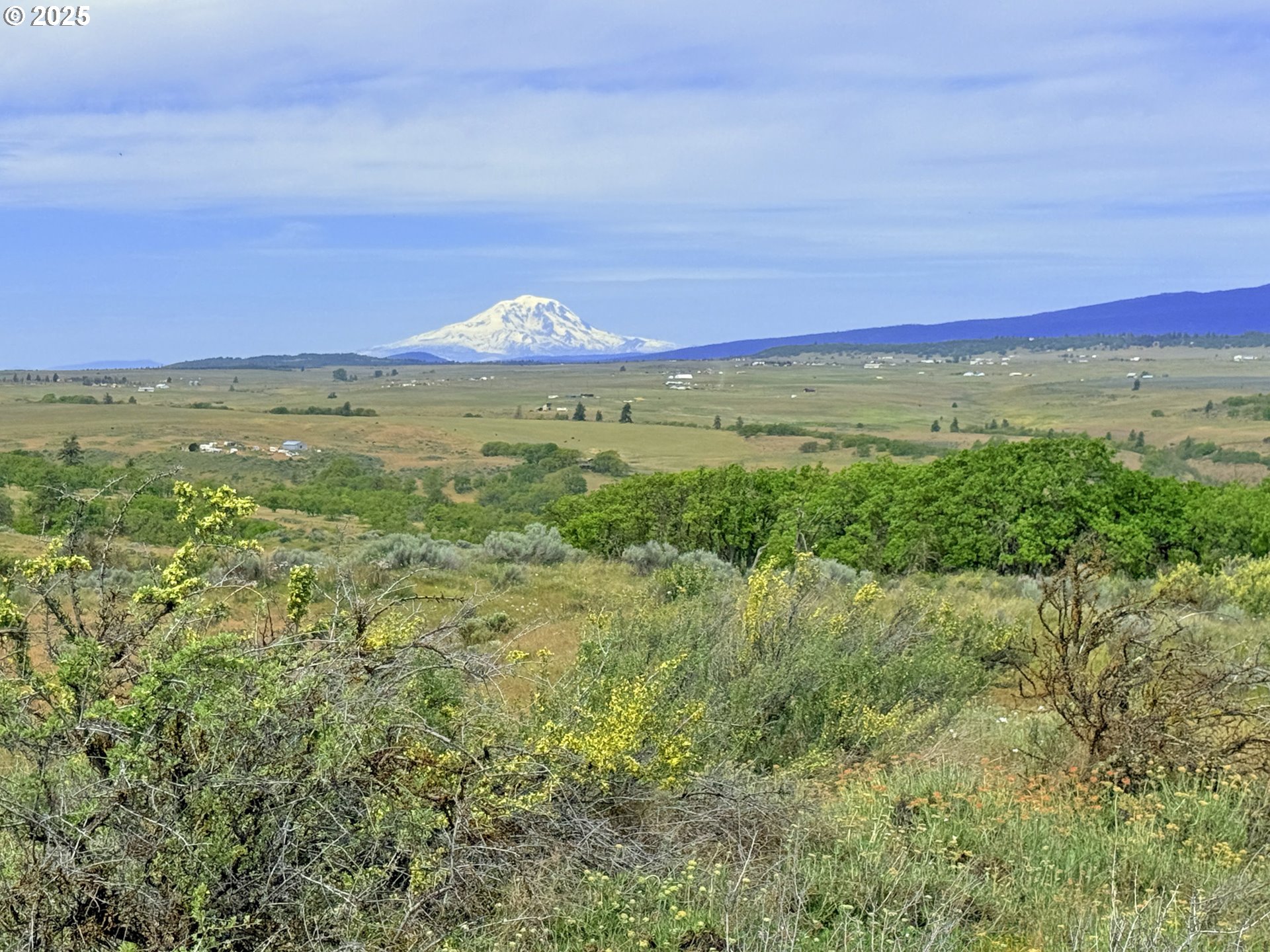 Off Gnarly Oaks Goldendale, WA 98620 - Photo 31 of 43 a view of an lush green mountain