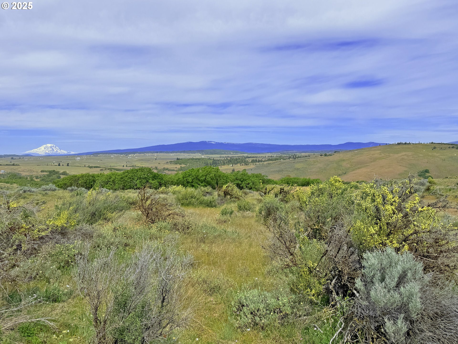 Off Gnarly Oaks Goldendale, WA 98620 - Photo 32 of 43