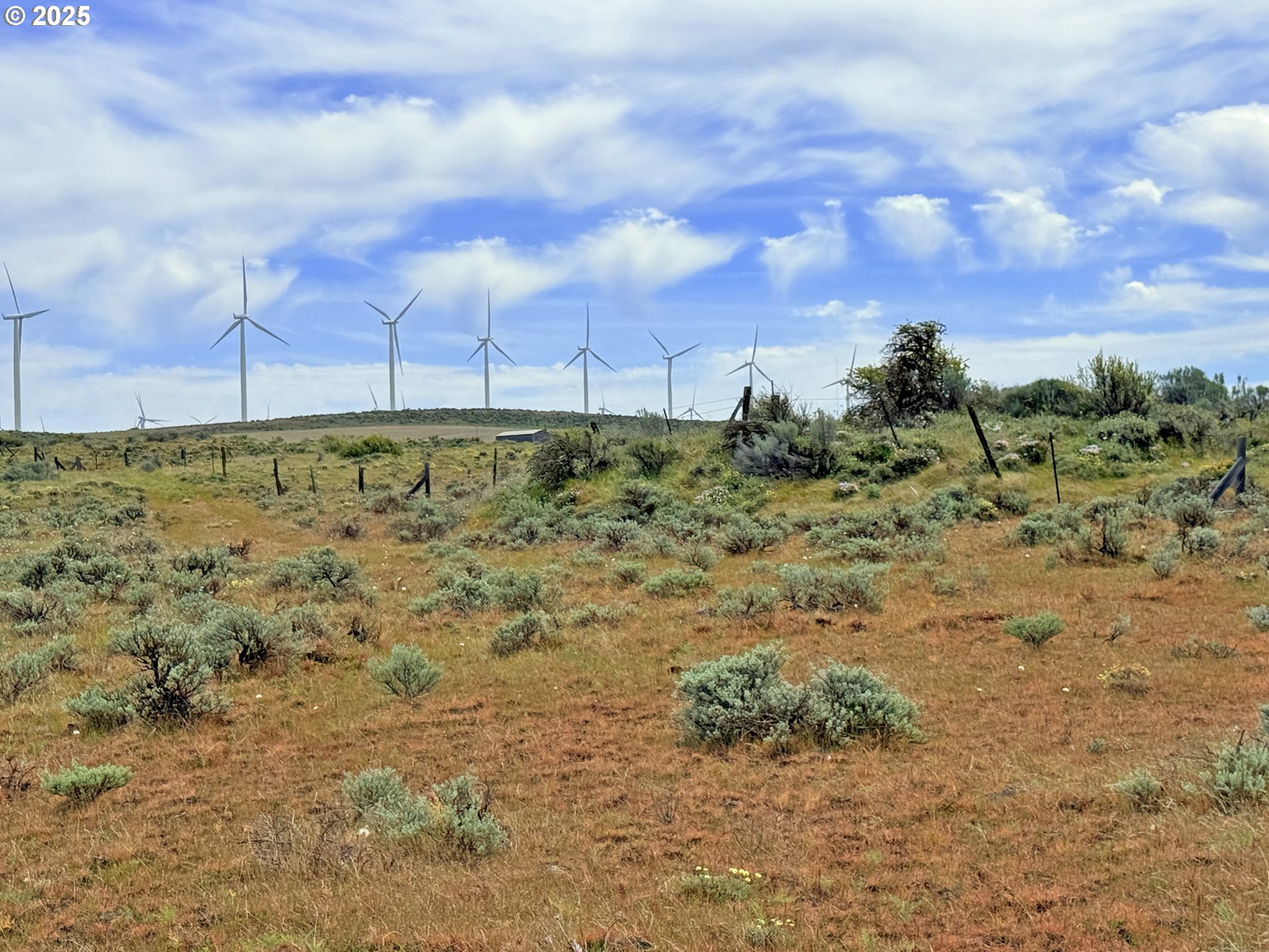 Off Gnarly Oaks Goldendale, WA 98620 - Photo 33 of 43 a view of a yard with an trees