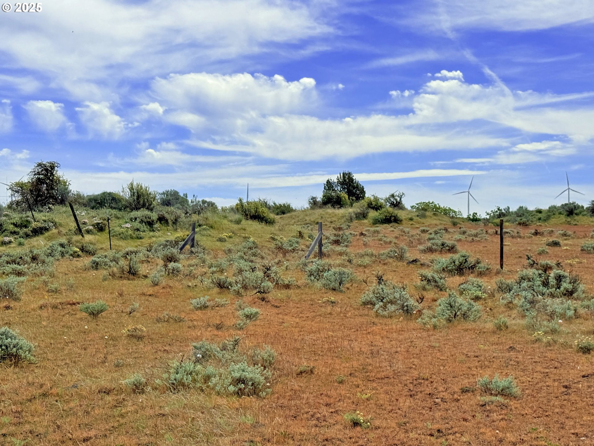 Off Gnarly Oaks Goldendale, WA 98620 - Photo 34 of 43 a view of a beach with a beach