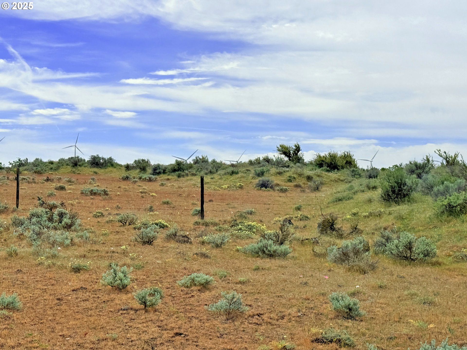 Off Gnarly Oaks Goldendale, WA 98620 - Photo 35 of 43 a view of a lake with trees in the background