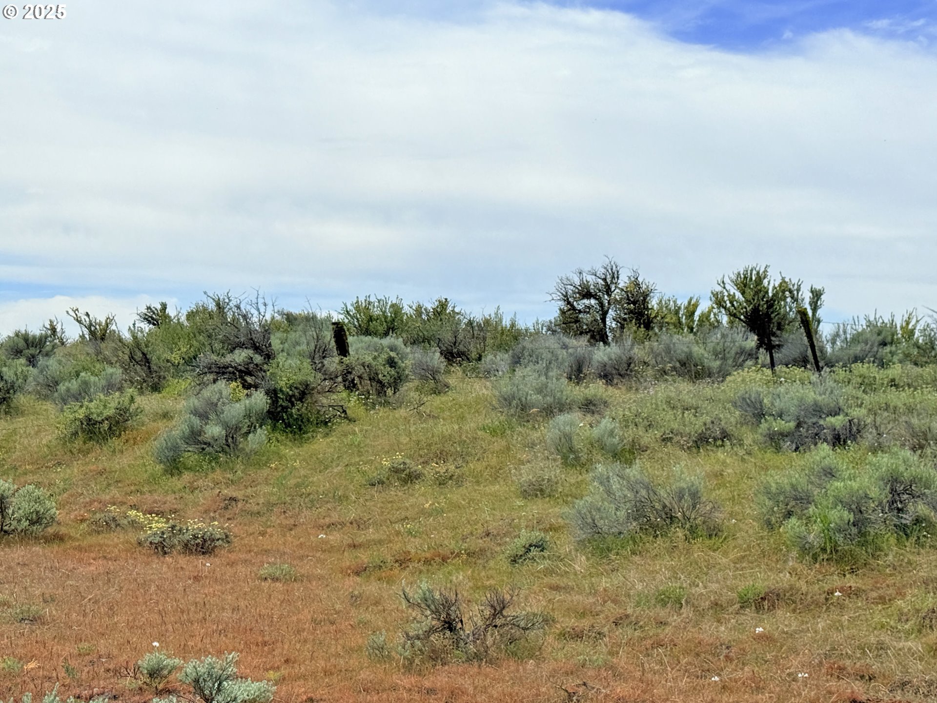 Off Gnarly Oaks Goldendale, WA 98620 - Photo 36 of 43 a view of a field with trees in background
