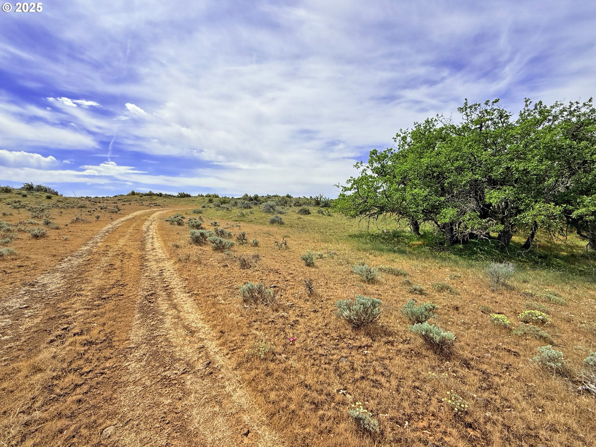 Off Gnarly Oaks Goldendale, WA 98620 - Photo 38 of 43 a view of an ocean