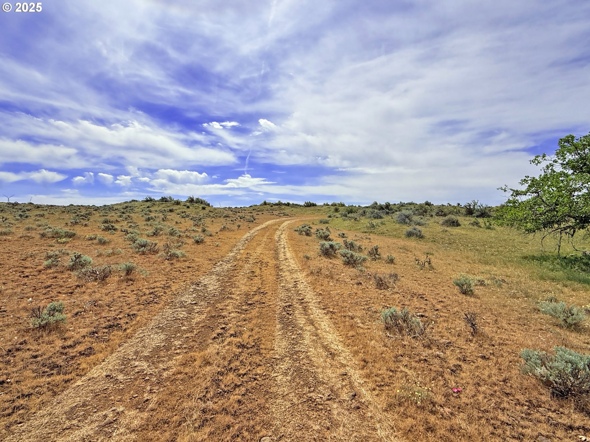 Off Gnarly Oaks Goldendale, WA 98620 - Photo 39 of 43 a view of a yard with an ocean and mountain view
