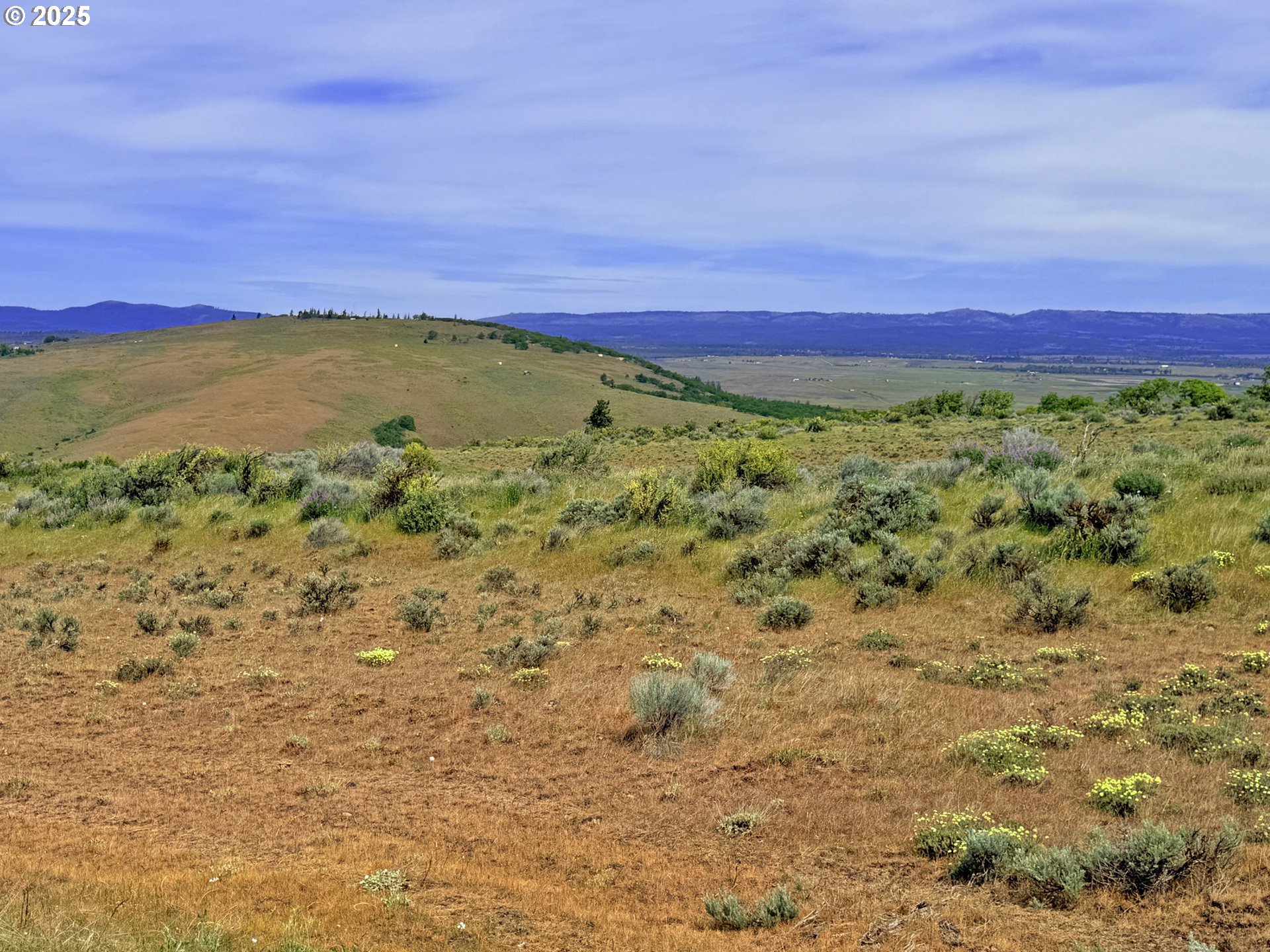 Off Gnarly Oaks Goldendale, WA 98620 - Photo 4 of 43 a view of an outdoor space with a lake view