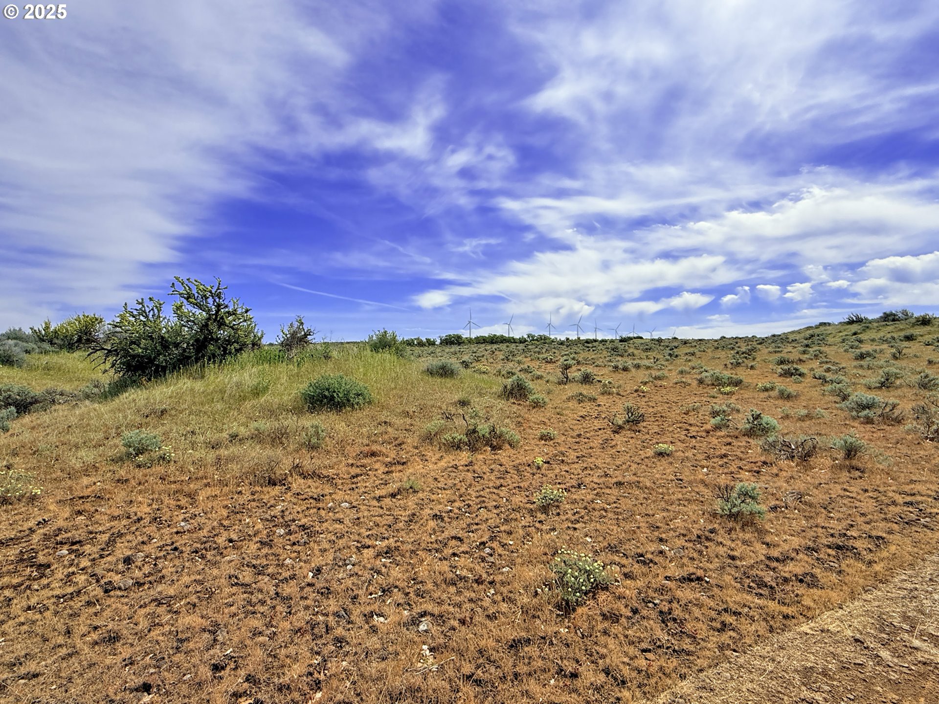 Off Gnarly Oaks Goldendale, WA 98620 - Photo 41 of 43 a view of a with large trees