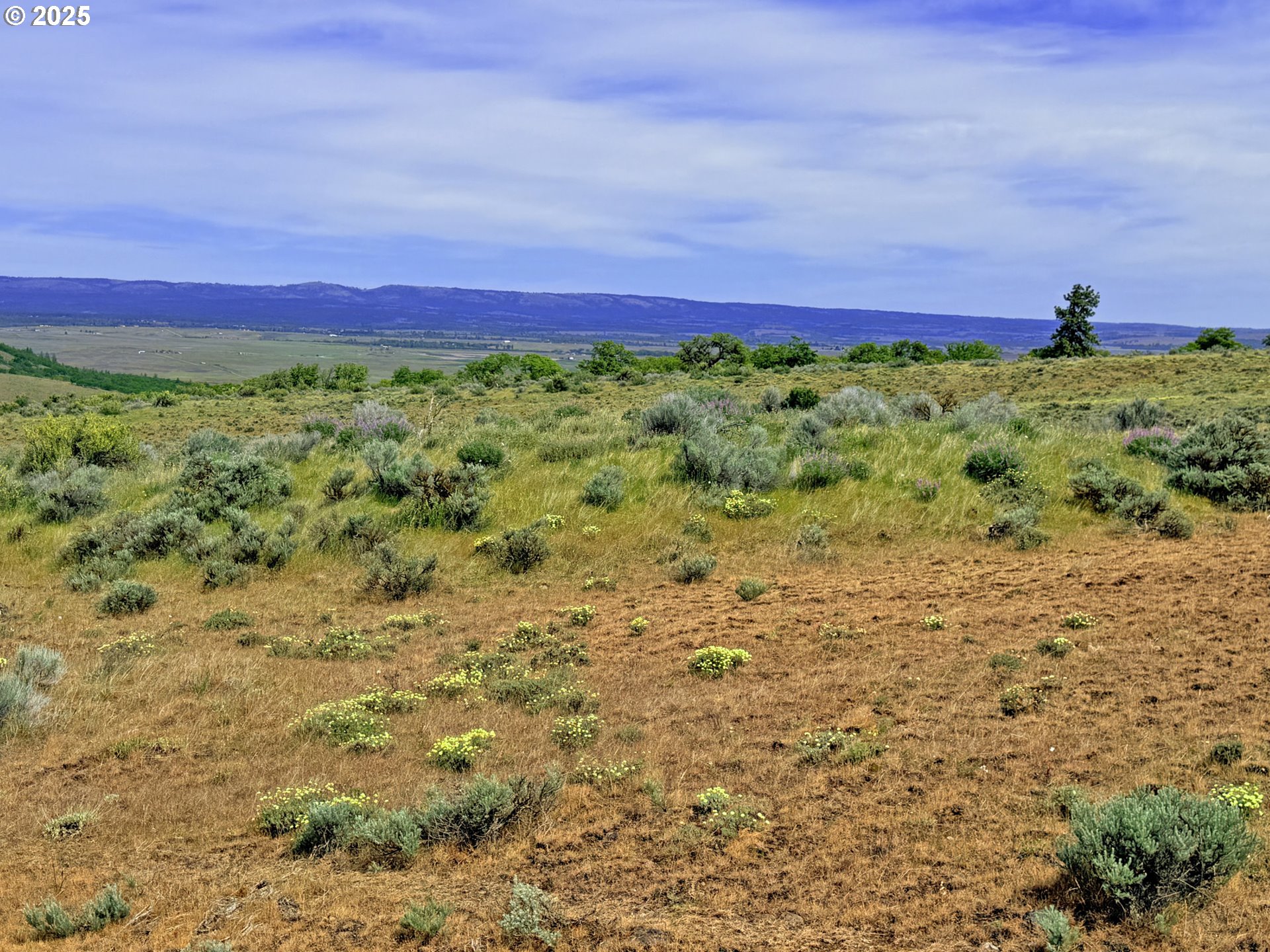 Off Gnarly Oaks Goldendale, WA 98620 - Photo 5 of 43 a view of a lush green field