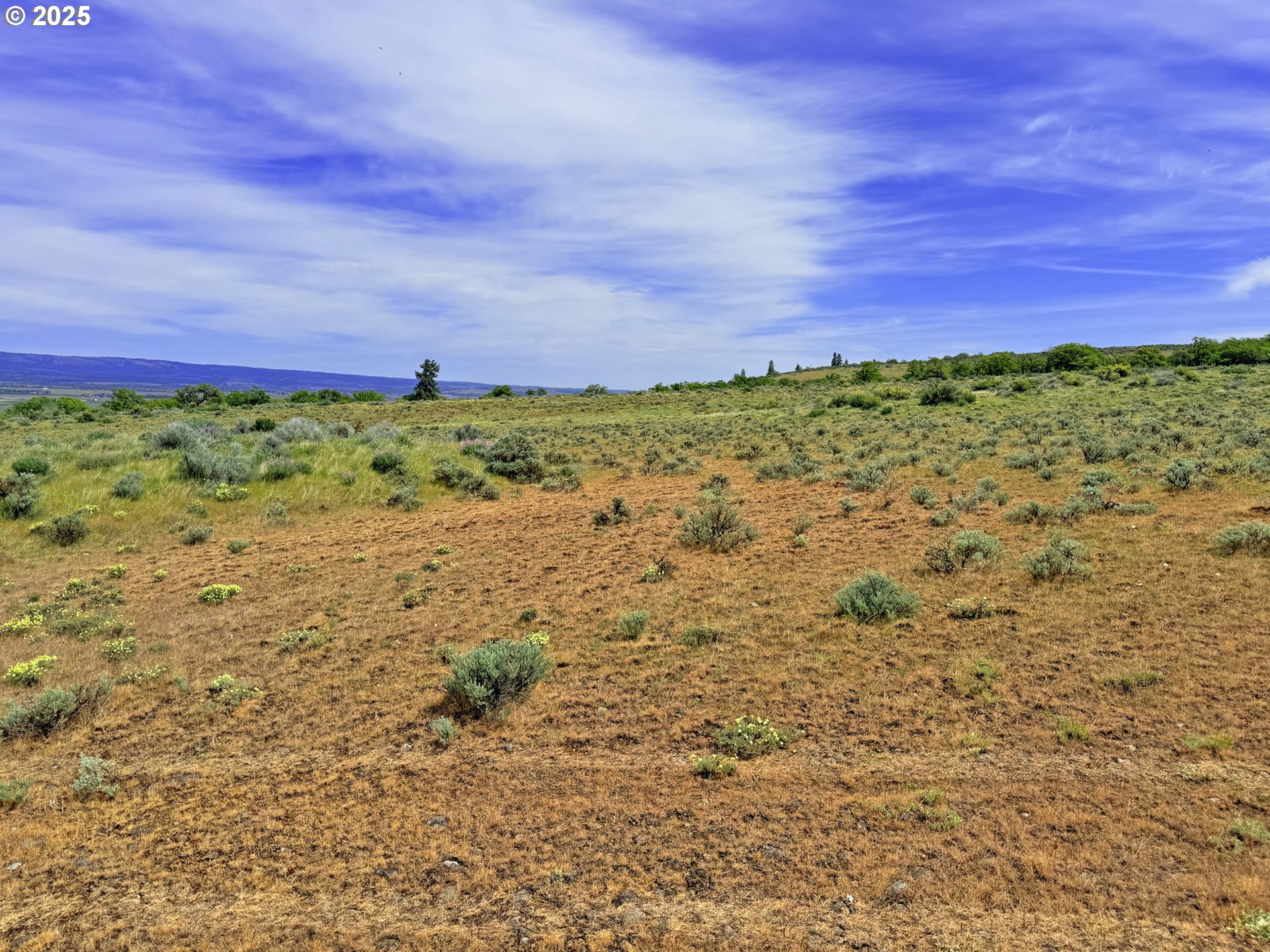 Off Gnarly Oaks Goldendale, WA 98620 - Photo 6 of 43 a view of a green field