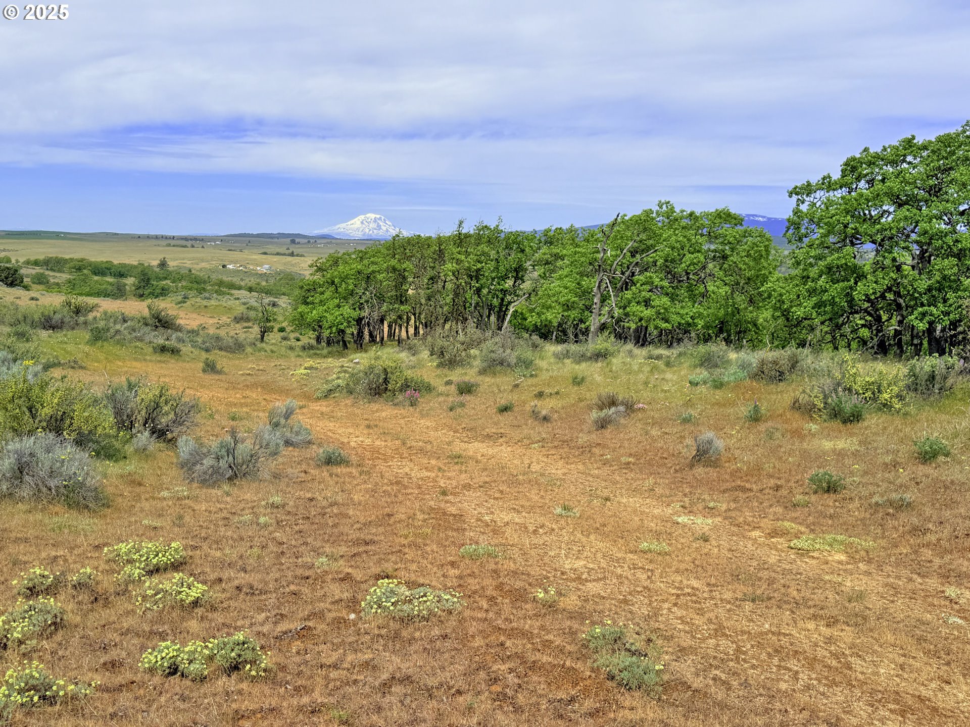 Off Gnarly Oaks Goldendale, WA 98620 - Photo 7 of 43 a view of a yard with a house