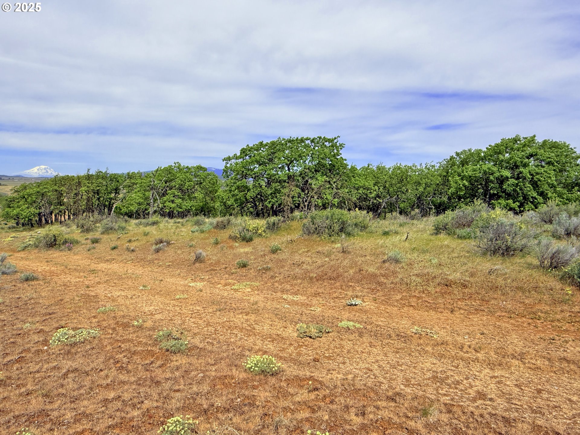 Off Gnarly Oaks Goldendale, WA 98620 - Photo 8 of 43 a view of a lake with a yard
