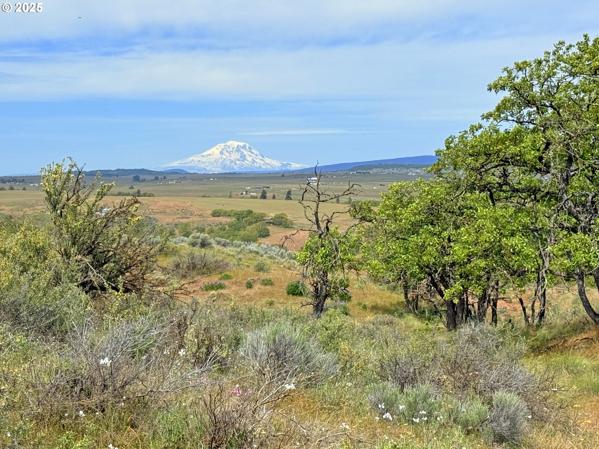 Off Gnarly Oaks Goldendale, WA 98620 - Photo 9 of 43 a view of a city