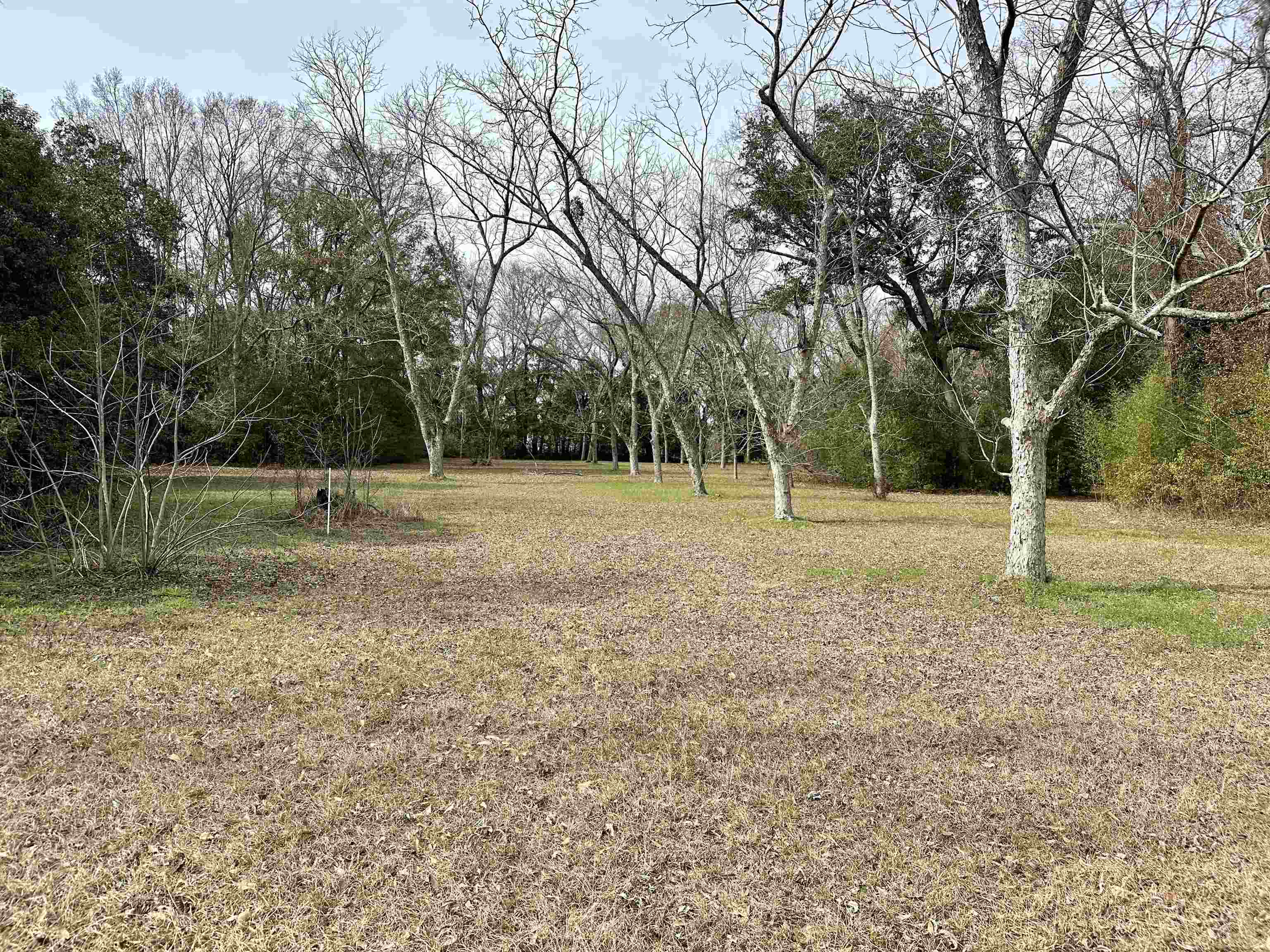 12089 Hickory Street South Foley, AL 36535 - Photo 1 of 8