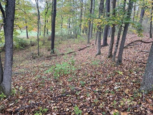 6-acres Hidden Valley Road Jane Lew, WV 26378 - Photo 6 of 10 Gallery Image 6