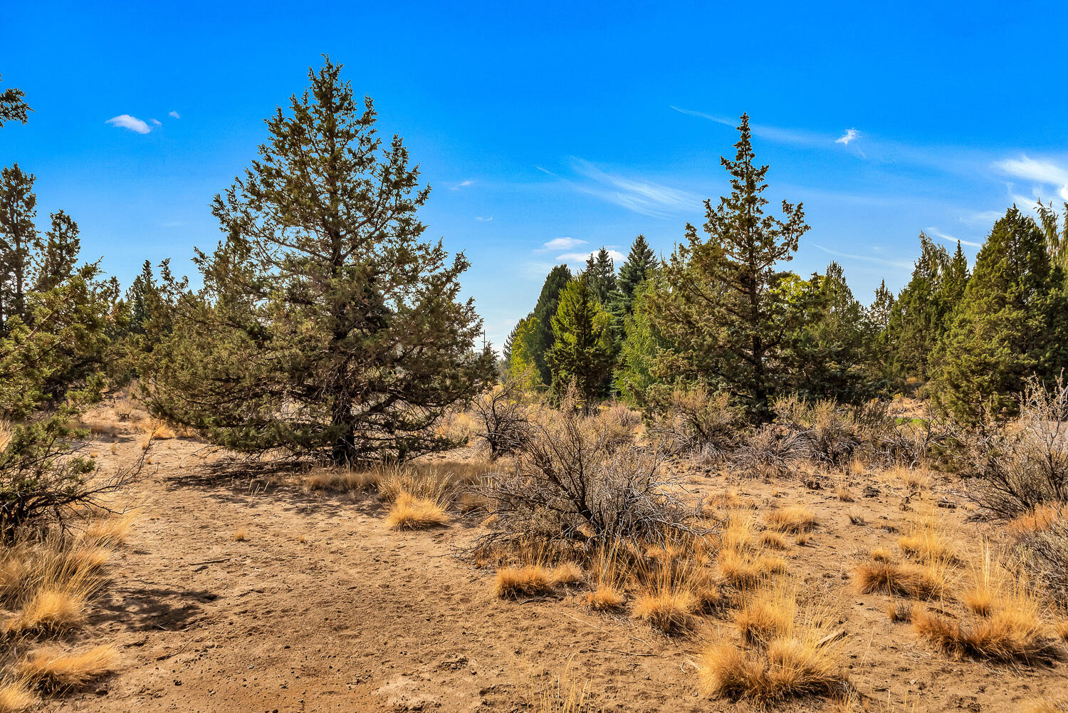 21533 Stoney Ridge Road Bend, OR 97701 - Photo 5 of 16 OReilly_20200921_3_280024_72ppi