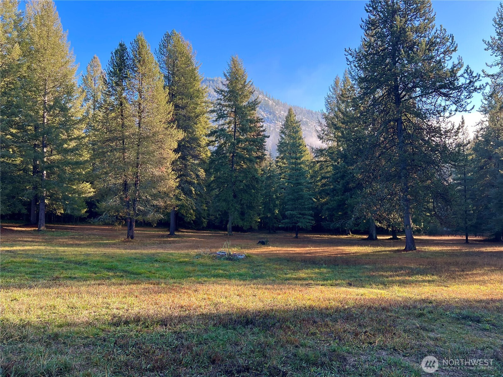 4084 Deep Lake Boundary Road Colville, WA 99114 - Photo 35 of 40 a yard with lots of trees in the background
