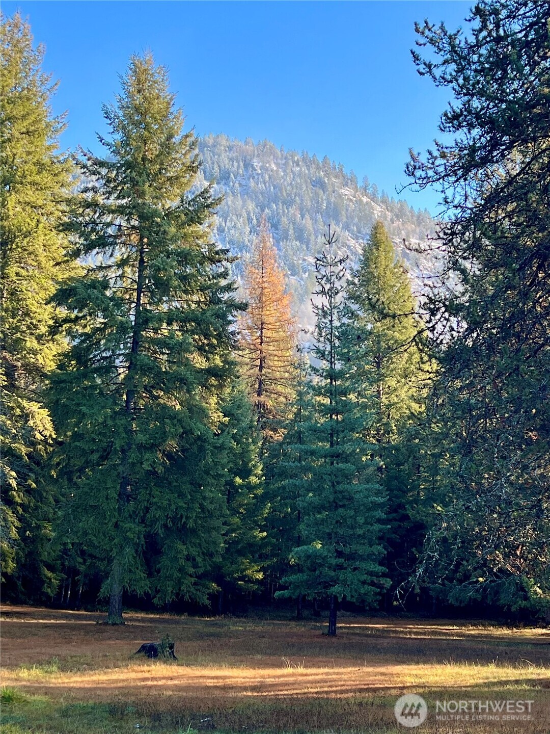 4084 Deep Lake Boundary Road Colville, WA 99114 - Photo 36 of 40 a view of a swimming pool with an outdoor space and seating area