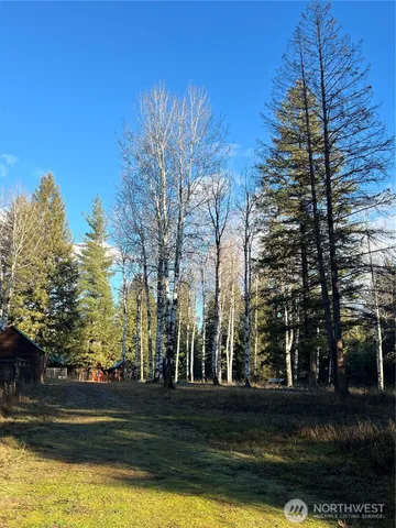 a view of a backyard of the house