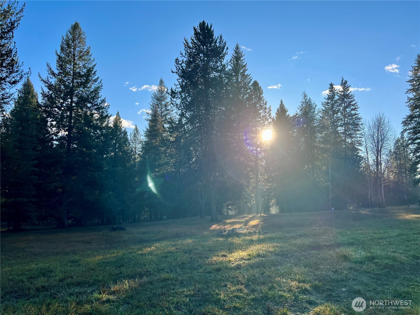 4084 Deep Lake Boundary Road Colville, WA 99114 - Photo 39 of 40 a view of a backyard of the house