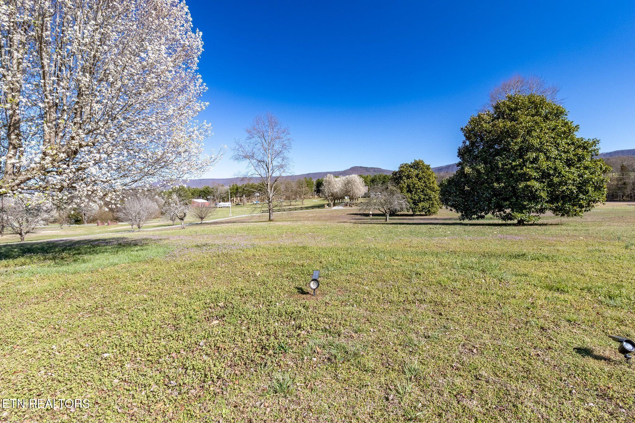 361 River Drive Dunlap, TN 37327 - Photo 8 of 60 8