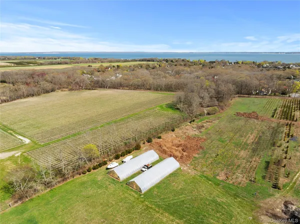 a view of an ocean and beach