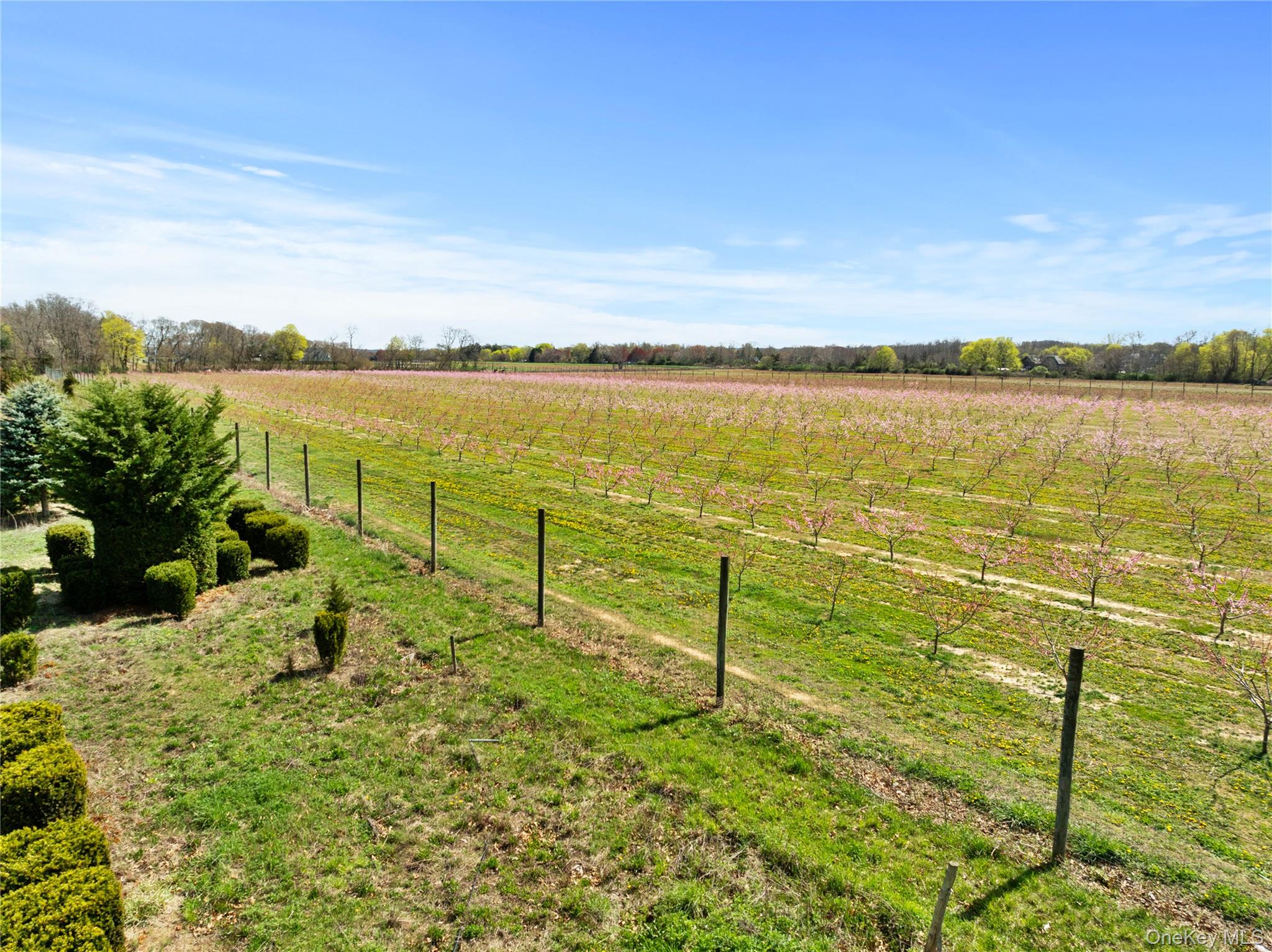 1705-1709 Main Road Jamesport, NY 11901 - Photo 9 of 11 a view of an ocean with a floor