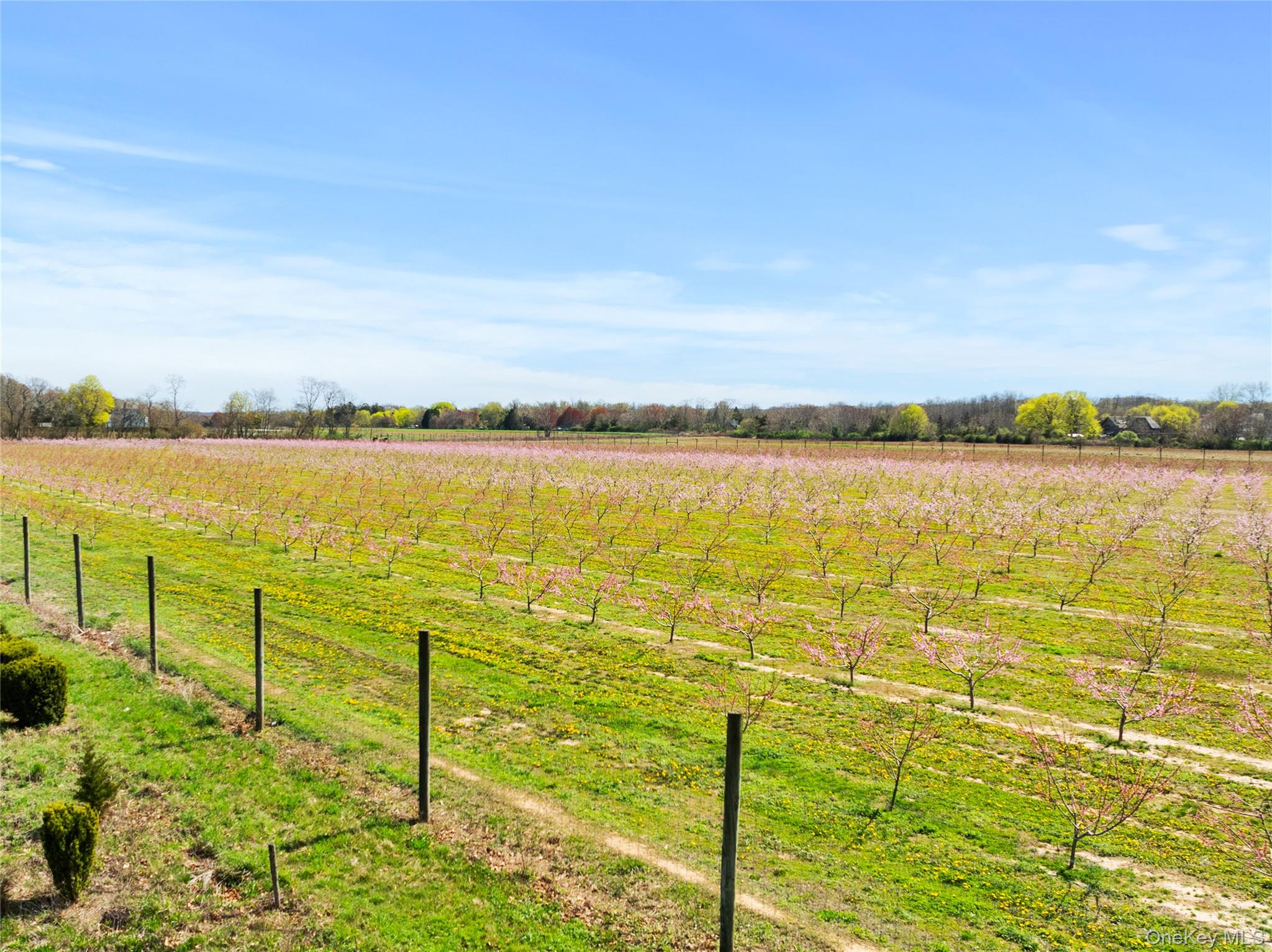 1705-1709 Main Road Jamesport, NY 11901 - Photo 10 of 11 a view of an ocean view