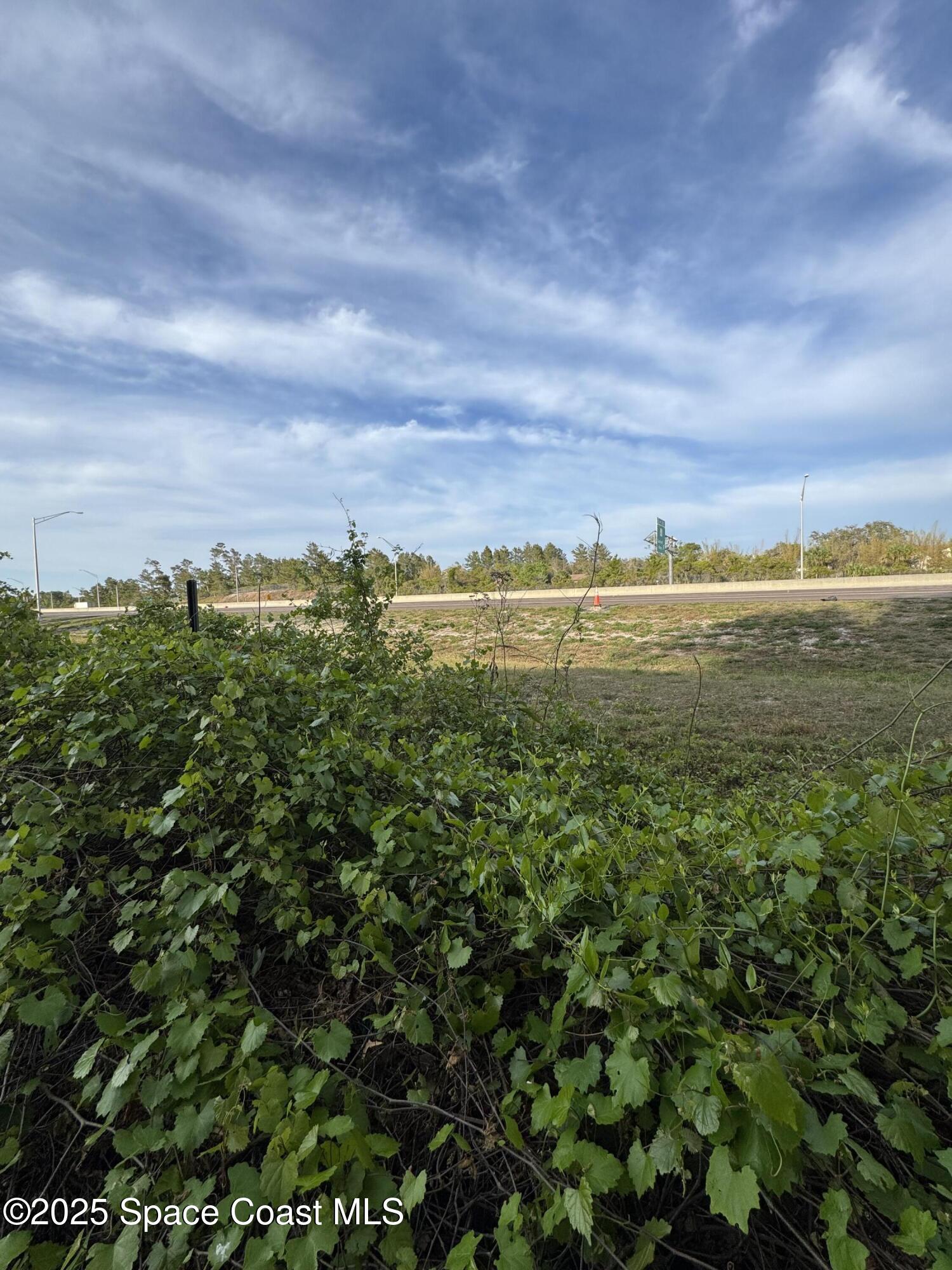 0 North Carpenter Road Titusville, FL 32796 - Photo 12 of 14 a view of an ocean