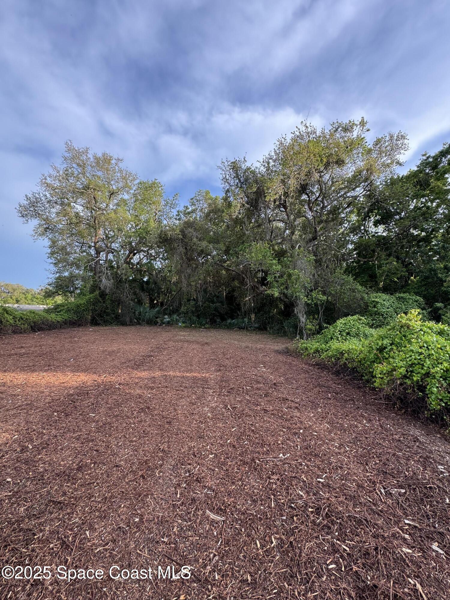 0 North Carpenter Road Titusville, FL 32796 - Photo 13 of 14 a view of outdoor space and yard