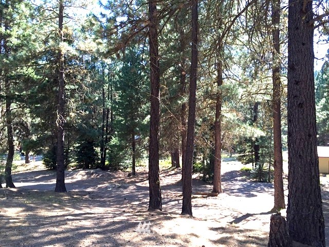 962 Wagon Wheel Road Cle Elum, WA 98922 - Photo 14 of 18 Gallery Image 14