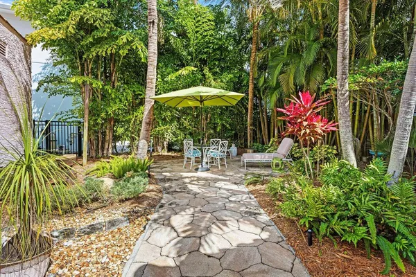 a view of a backyard with potted plants and large trees