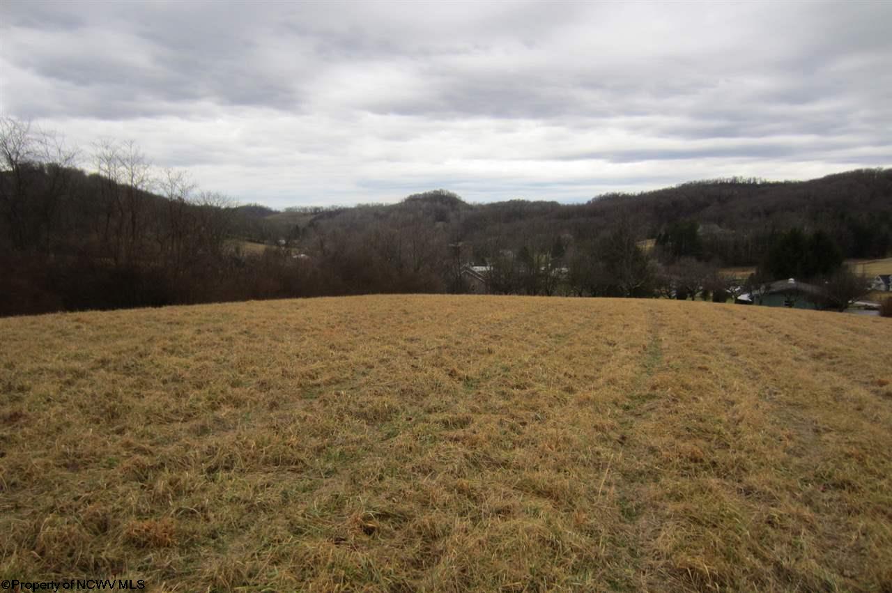 Tbd Oak Ridge Drive Mount Clare, WV 26408 - Photo 1 of 11 Gallery Image 1